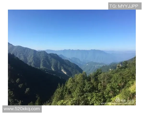 海门三厂足球明星的崛起与成就探索之旅