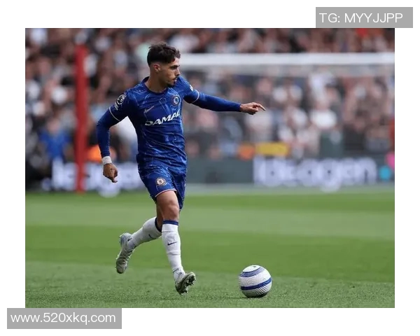 梅尼耶足球明星的辉煌历程与未来展望：从青训到职业生涯的精彩瞬间